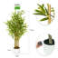 Anilya Faux Bamboo Plant-1266186520