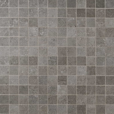 New Rock 2X2 Matte Porcelain Mosaic