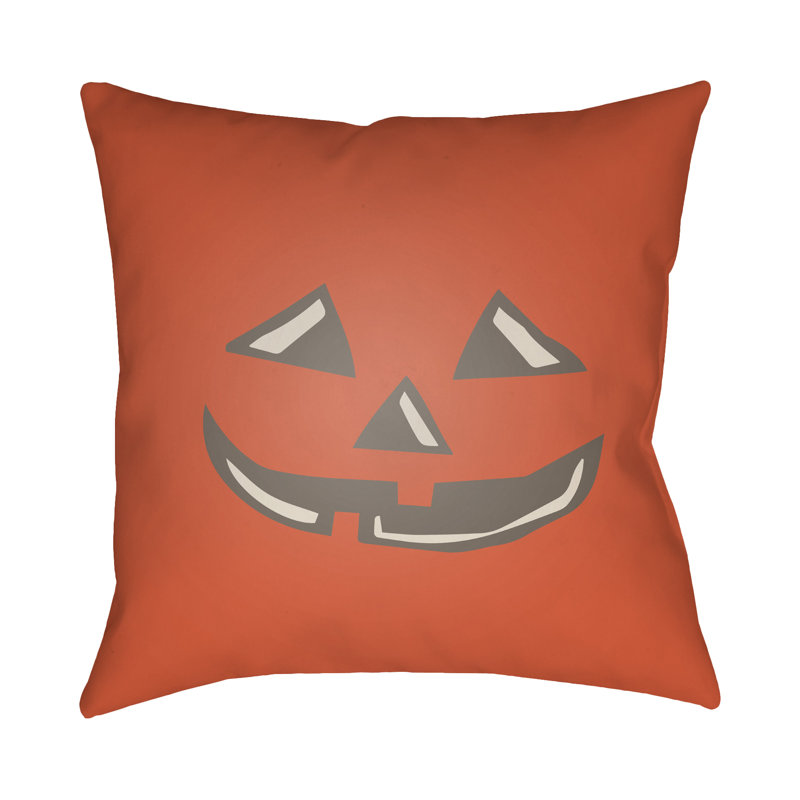 Indoor/Outdoor Throw Pillow, 20" H x 20" W x 4" D, Red