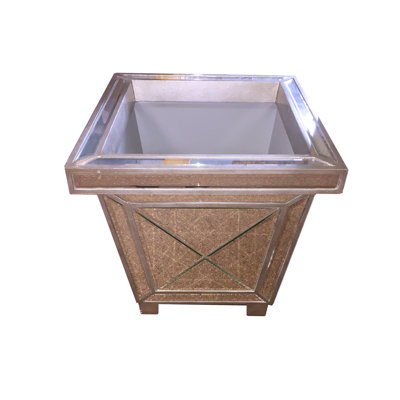 Support pour plante miroir avec bordure en bois argenté