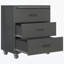 Armoire de rangement en métal robuste avec roulettes - Armoire à outils à 3 tiroirs pour les solutions de rangement de garage, de bureau et de maison