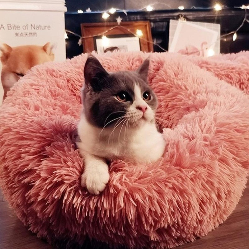Bardem Polyester Pet Bed, Pink, Extra Small (16" W x 16" D x 4" H)