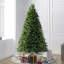 7.5' H Lighted Artificial Fir Christmas Tree