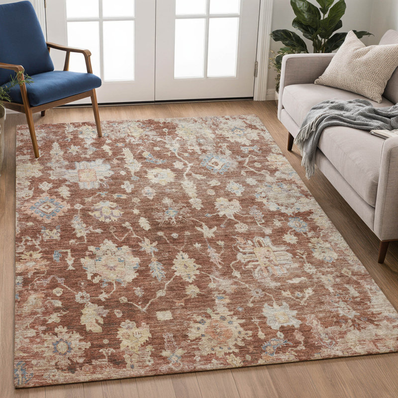 Machine Washable Indoor/Outdoor Francky ACN2355 Traditional Rug, Rectangle 9' x 12'