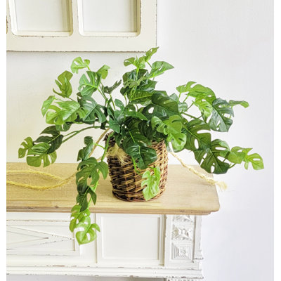 Studer Faux Philodendron Plant