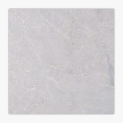 12 in. x 12 in. Marble Tile