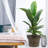 Plastic Flower Plant Pots Set of 4-900570931-900571087