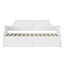 Antavious Coastal Cottage Solid Wood Twin Daybed with Twin Trundle-1837227881