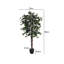 180cm Faux Banyan Tree in Freestanding