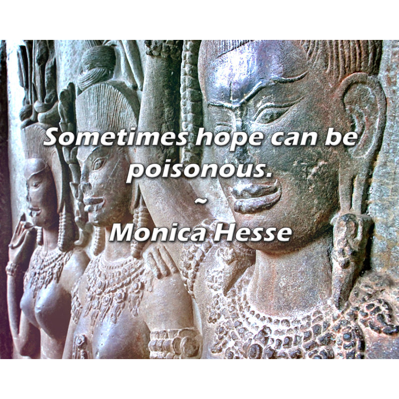 Artsy Quote "Sometimes hope can be poisonous." By Monica Hesse Gallery Wrapped Canvas, 28" H x 40" W