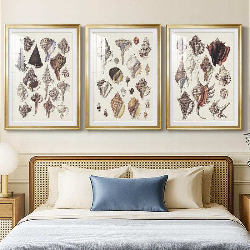 Seashell Array I - Impression personnalisée de qualité supérieure avec cadre mat - 3 pièces, H 21 po x l 30 po, Doré