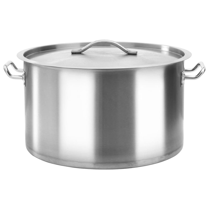 Mayshar 44 L Stock Pot with Lid