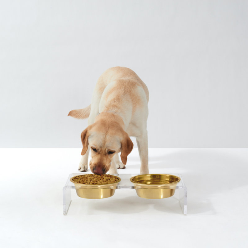 Clear Elevated Feeder with Gold Bowls, 3.5 cups, Gold