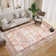 Washable Indoor Rug