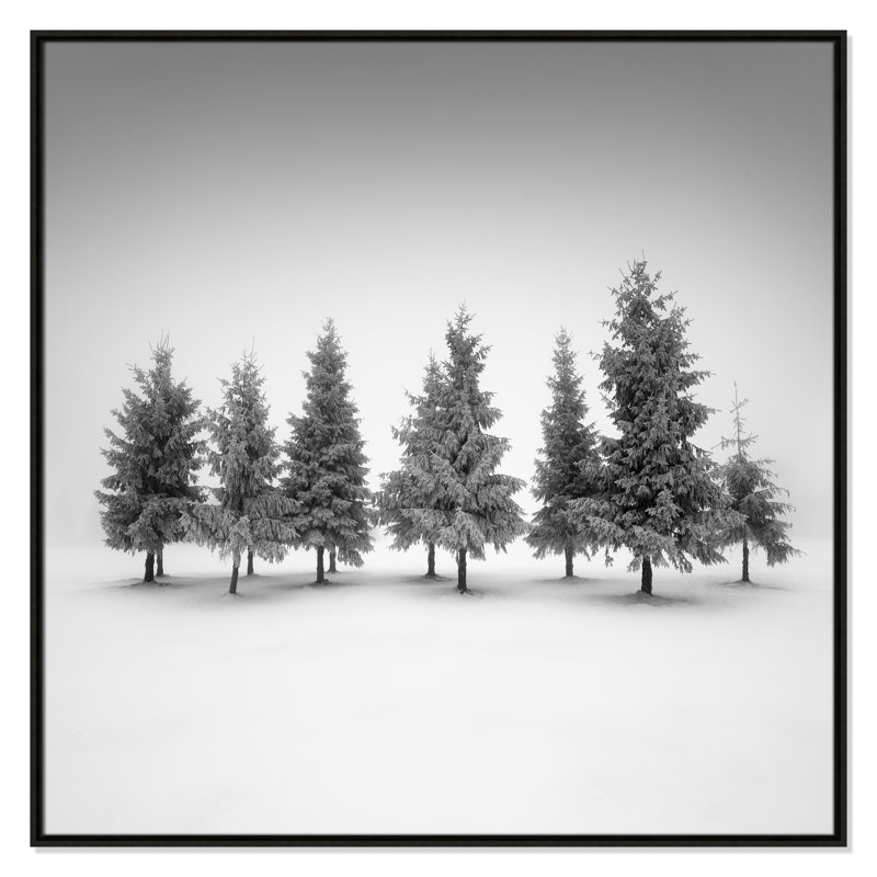 Impression d'épinette par Daniel, 41.5'' W x 41.5'' H, Framed Canvas, Espresso Floater