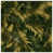 Medium Green Medium Gold