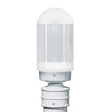 Donnie Frosted Lantern Head