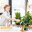 Ensemble de 2 supports à plantes à 3 niveaux, support de plante d'intérieur pour petite fenêtre - petit support de plante de table, petit support à fleurs pour la maison, le bureau, le salon, la décoration de chambre à coucher