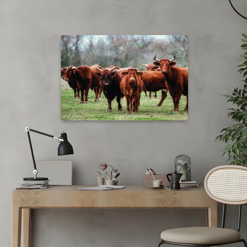 «Gathered Together», art contemporain de vache, H 16 po x l 24 po