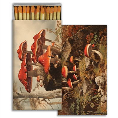 Matches - Champignons d'automne