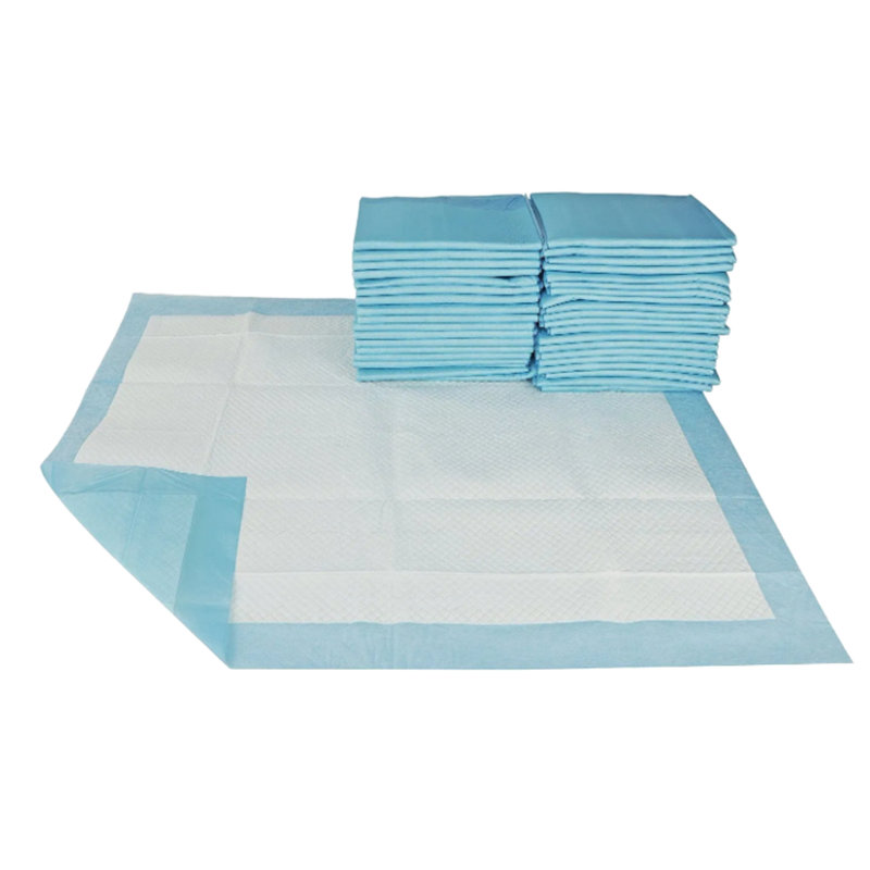 Coussin d'entraînement pour chien et chiot Scratchme