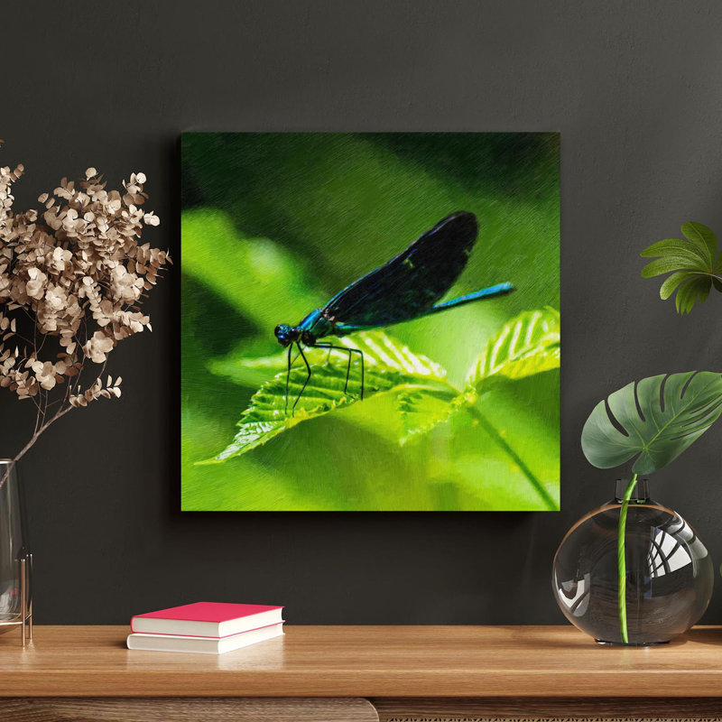 "Blue Damoustly" perché sur une feuille verte en gros plan, photographie pendant la journée - 1 pièce, reproduction d'art graphique carré sur toile tendue