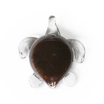 Tortue de verre Tranquil