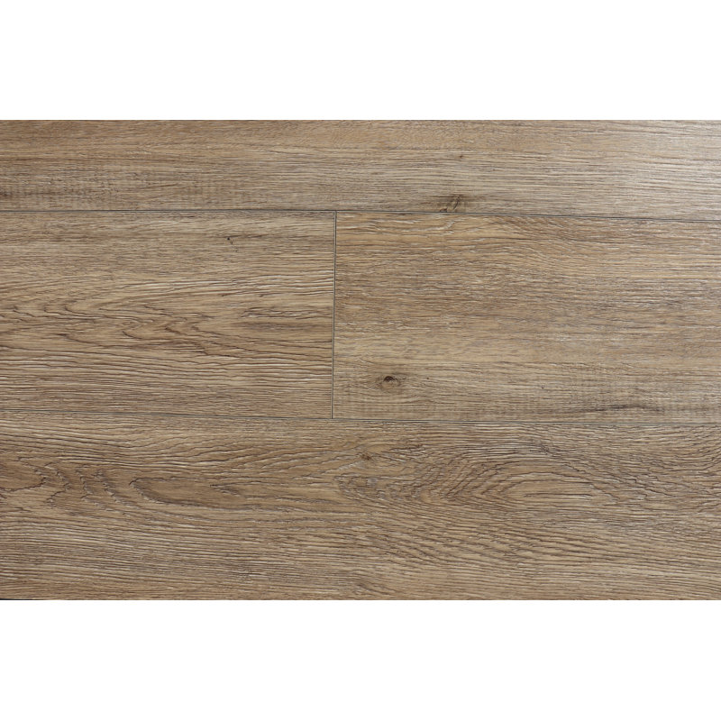 Compass 5.5mm Thick 7.2'' W x 48'' L Oak Vinyl Plank, Clubhouse