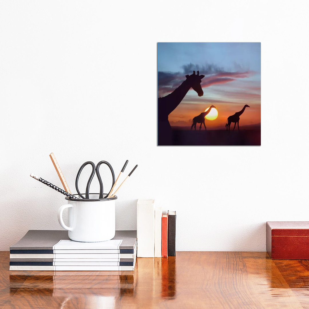 Masai Giraffe Trio At Sunrise, Masai Mara, Kenya by Tim Fitzharris - Wrapped Canvas Print