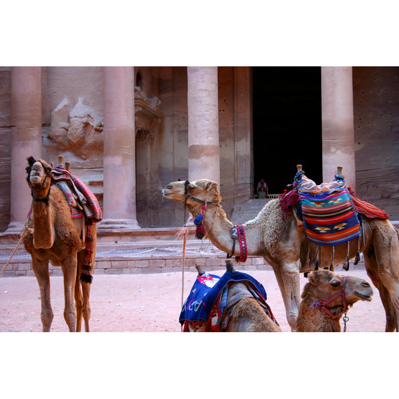 Camels At Petra Jordan by VeryCrispy - Wrapped Canvas Print, 30cm H x 46cm W
