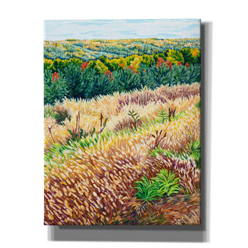 Art mural sur toile Ny Autumn Grass Grammes par Andrea Strongwater, 26 po x 34 po, H 34 po x l 26 po x P 1,5 po