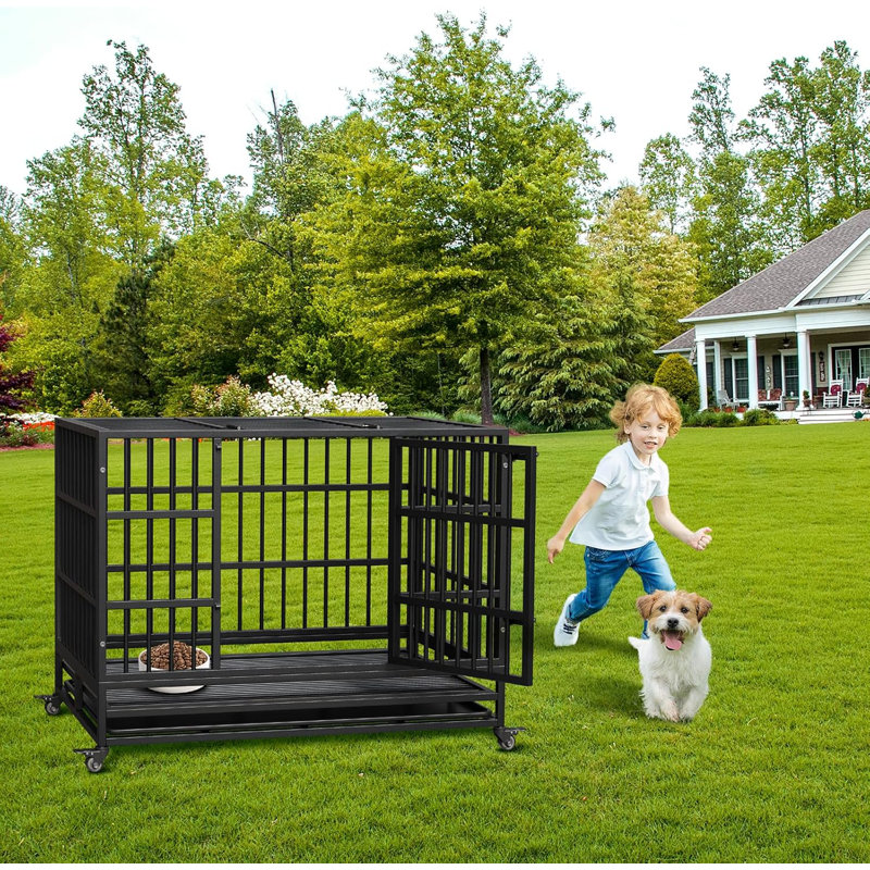 Cage pour chien robuste, cage intérieure pliable pour chien avec double porte, roues verrouillables à 360 °