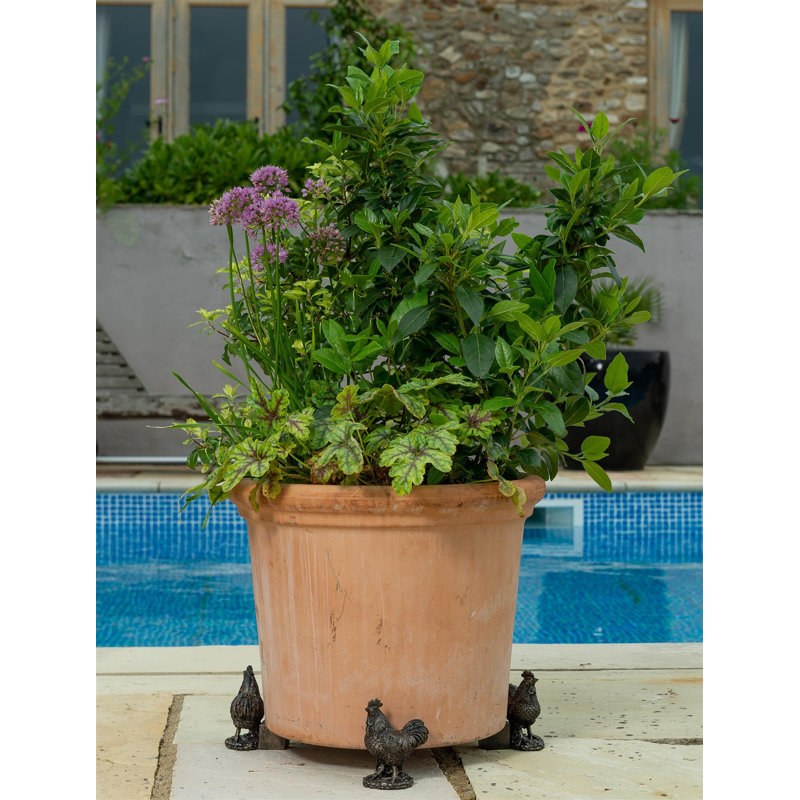 Alexis Weather Resistant Planter Feet