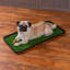 Pet Bowl