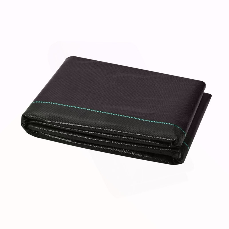 Tapis de contrôle des mauvaises herbes tissé en PP 4 * 50FT, 2.36" H x 17.32" W x 13.78" D