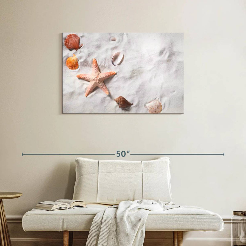 Beach seashells and starfish Aletra, H 24 po x l 36 po