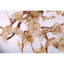 Lustre Araiyah lumière amande clair-560991741-560991680-560991693