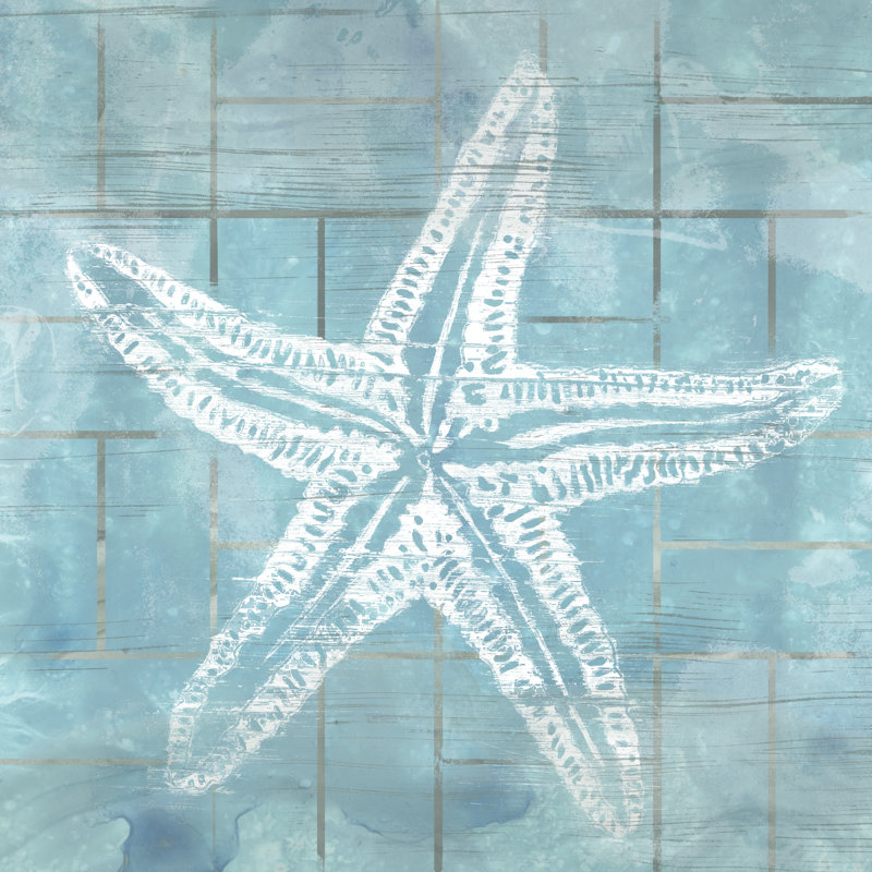 Cerulean Shell II - Wrapped Canvas Print, 91cm H x 91cm W