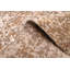 Legacy Rug 2'5" x 10'3"