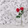 Bergamo Herringbone Polished 1" x 2" Marble Tile