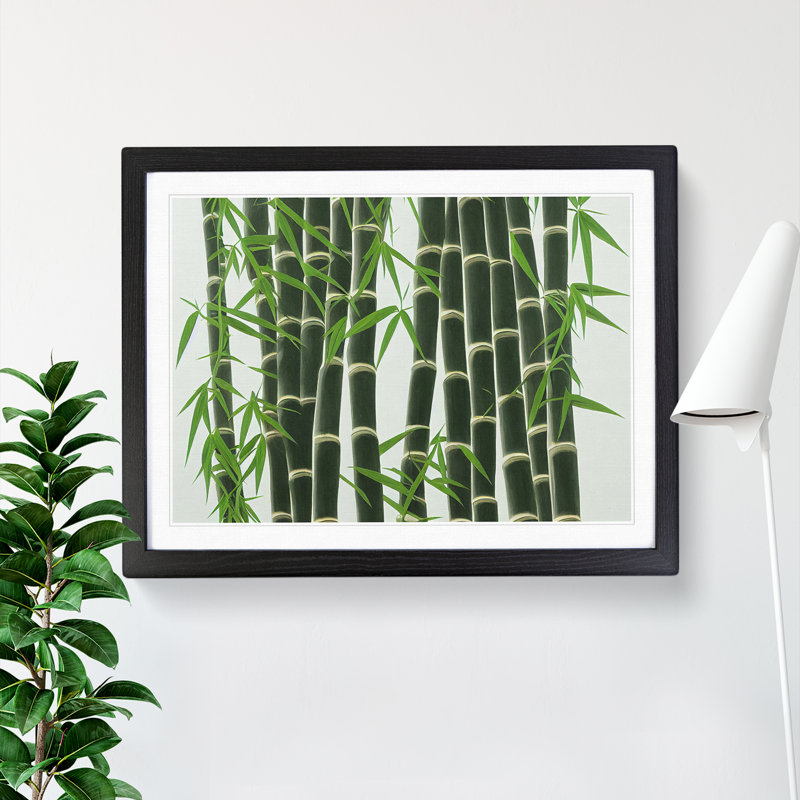 Interesting Bamboo Forest - Framed Print, Black, 46cm H x 64cm W x 2cm D