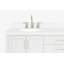ARIEL Magnolia 72 Double Bathroom Vanity with Top-31206971-55194066