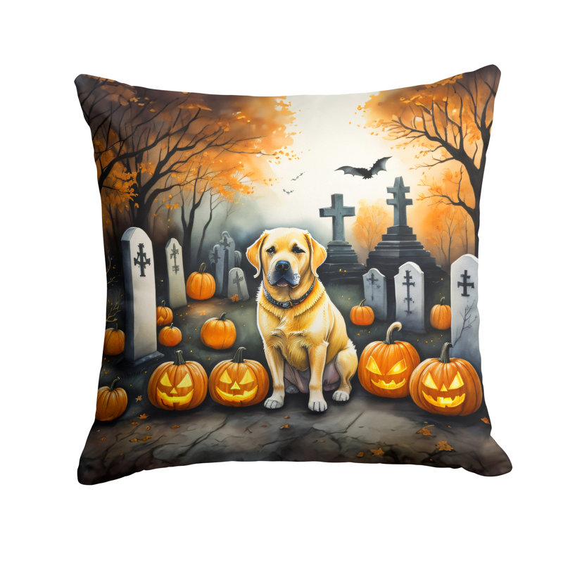 Other/No Pattern Outdoor Throw Pillow, 18" x 18"