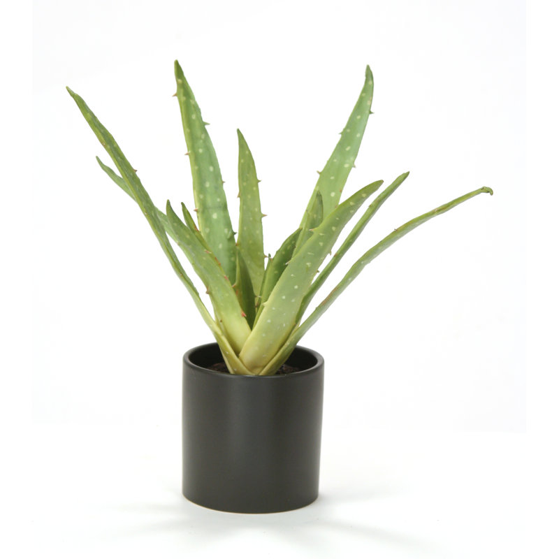 Aloe de bureau en pot en soie