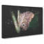 Beauty of a Butterfly - Wrapped Canvas-56659399