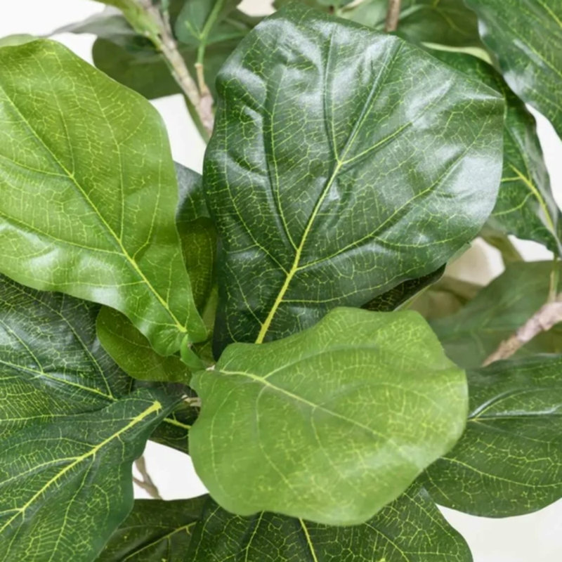 Arbre de figuier luxueux de 70 po avec feuilles brillantes denses, ficus lyrata réaliste, arbre artificiel en pot pour salon, coin bureau
