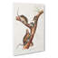 Florida Rats by J.W. Audubon - Wrapped Canvas-55363733