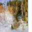 «Vidur Colorado Color Splash 2», reproduction sur toile tendue Vidur-22073952