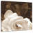 Harnek Gardenia Garden-109210020