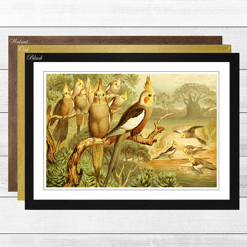 Brehms Tierleben - Single Picture Frame Painting, Oak